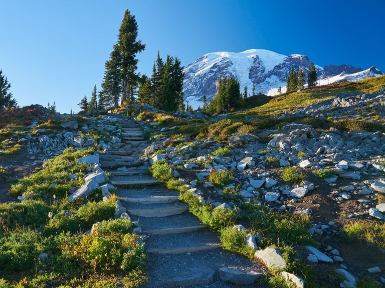 Boucle de Skyline, Washington, volcan