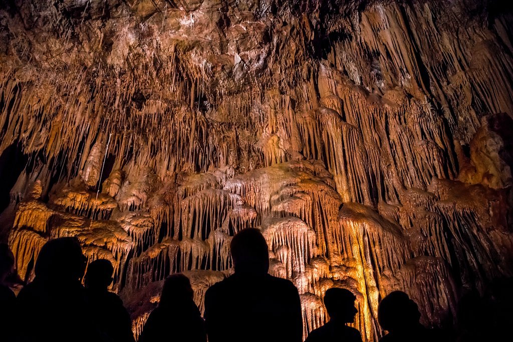 Grottes de Kartchner, colonies de chauves-souris, observation