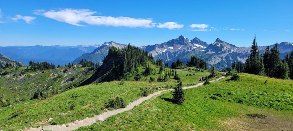 Boucle de Skyline, Washington, volcan