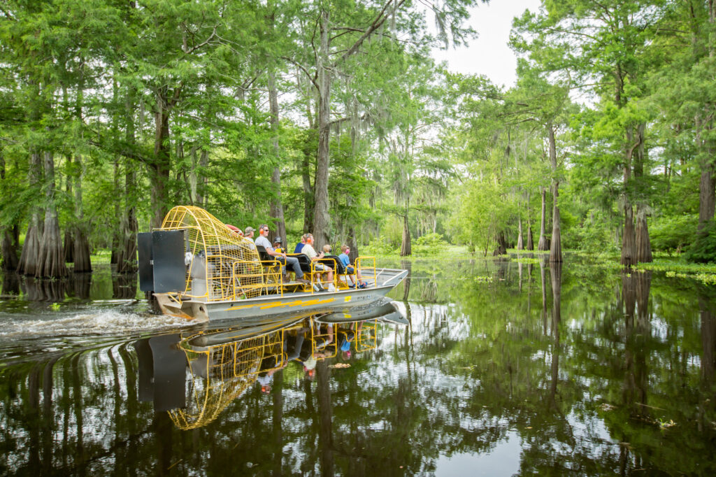 Alligators, bayous, Louisiane, excursion, bateau